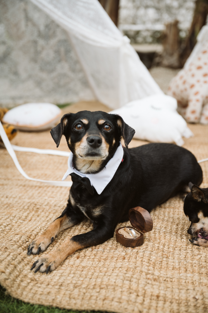 Un invitado disfrutando de la celebración en la boda de Clara y Marcus.